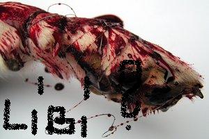 486_by_Blood__Stock.jpg